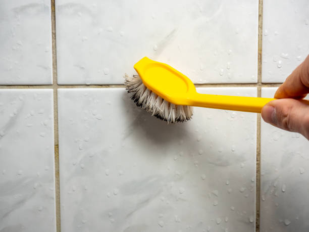 Best Same-Day Mold Removal  in Saticoy, CA