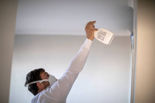 Best Mold Damage Repair  in Saticoy, CA
