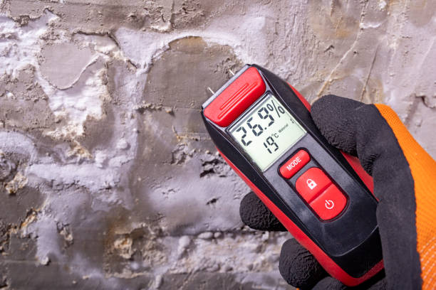 Best Mold Remediation  in Saticoy, CA