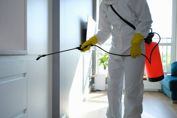 Best Residential Mold Removal  in Saticoy, CA