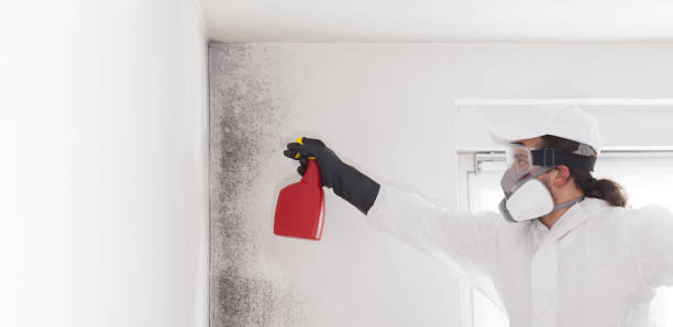 Best Crawl Space Mold Removal  in Saticoy, CA